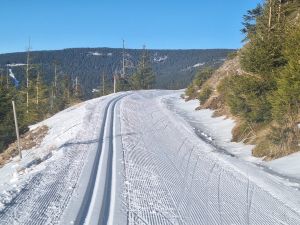 Bežkařské trasy